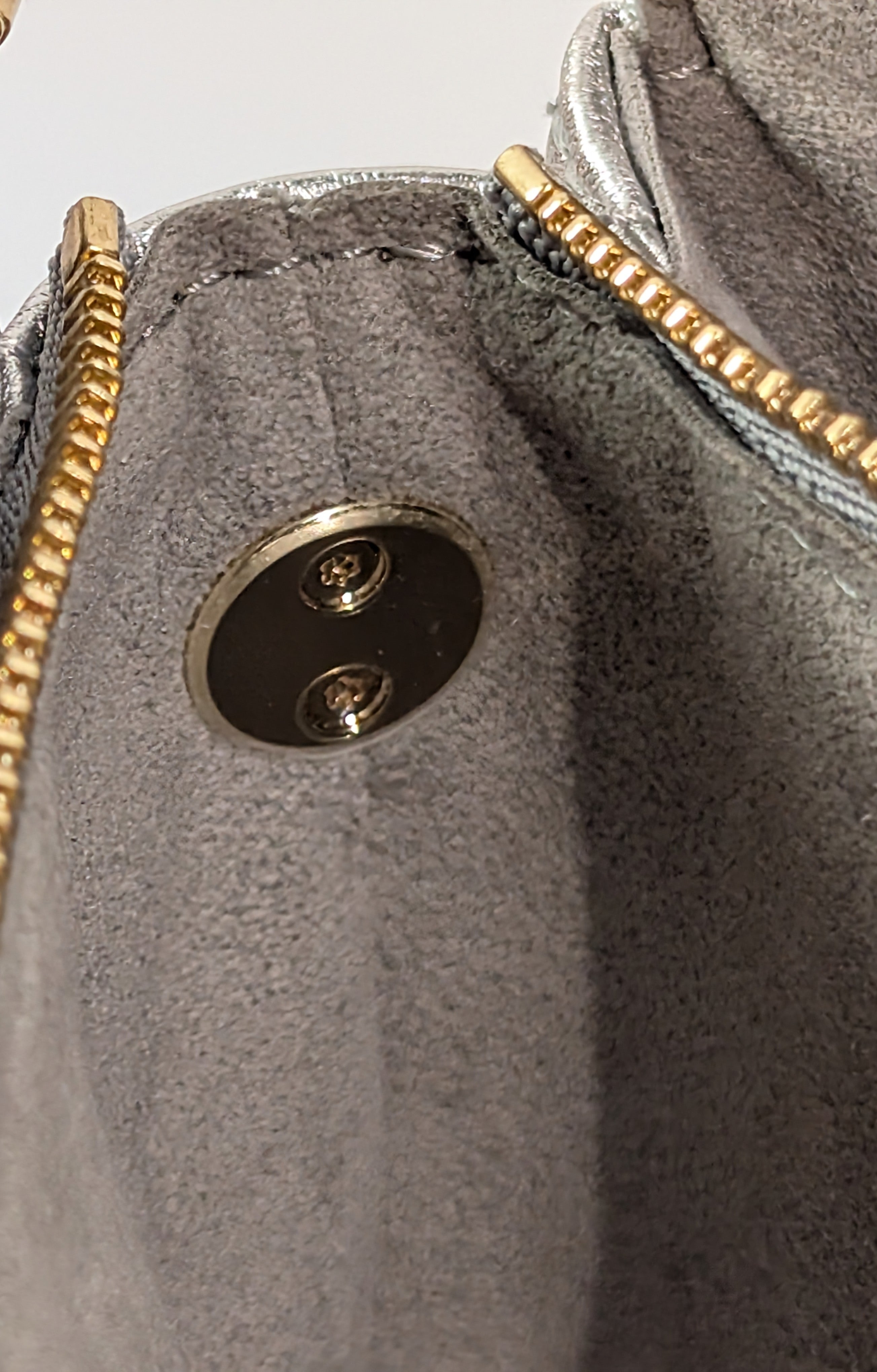 Louis Vuitton Iridescent Coussin Sequin and Silver Monogram Empreinte Bag