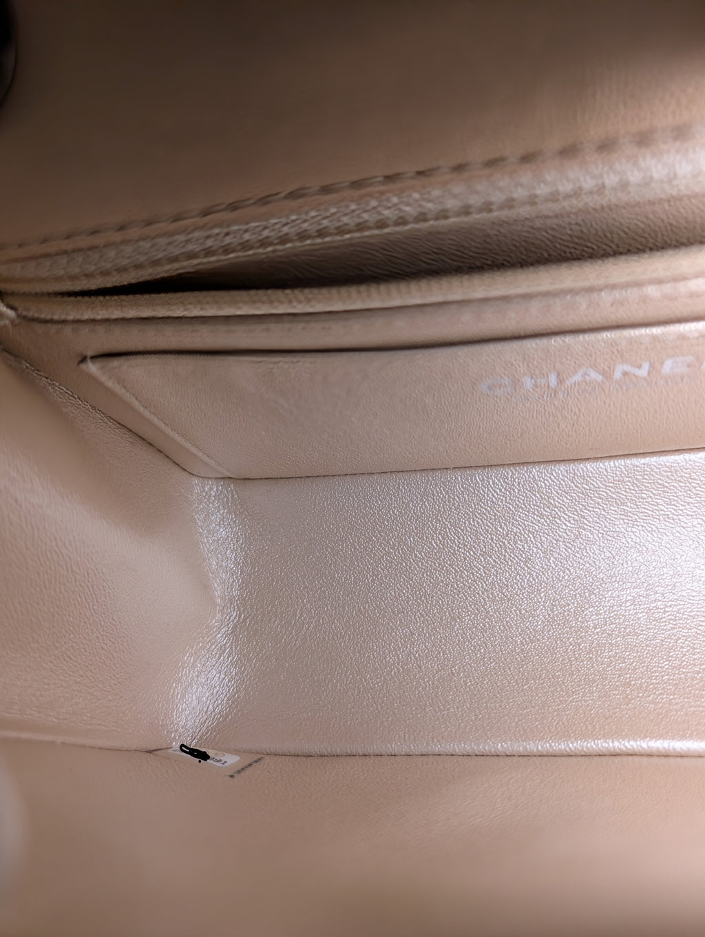 Louis Vuitton Iridescent Coussin Sequin and Silver Monogram Empreinte Bag