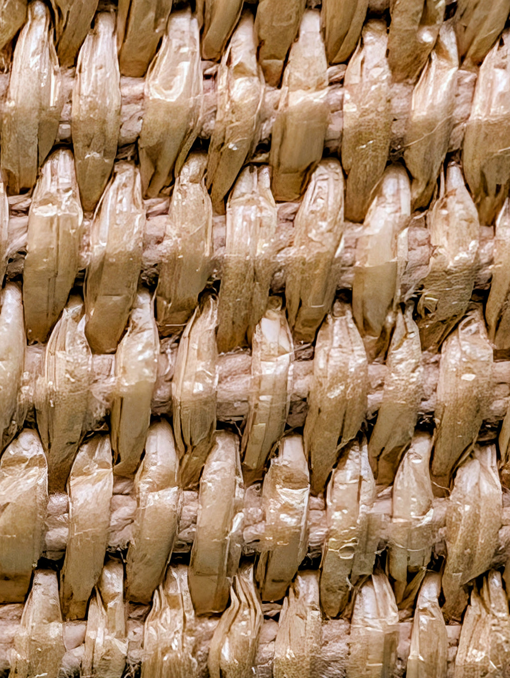 Fendi Step Out Straw and Canvas Bucket Bag with Rare Straps