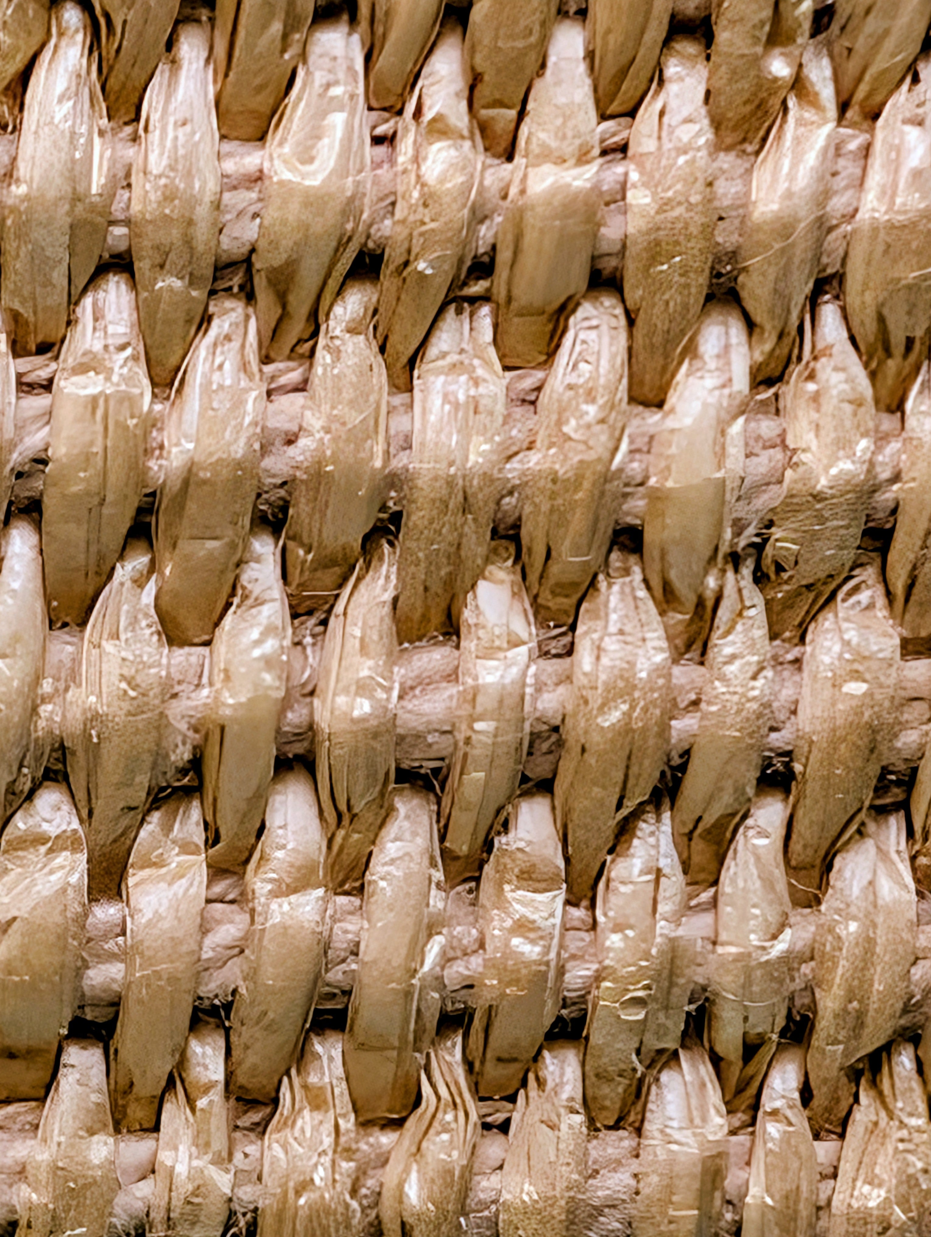 Fendi Step Out Straw and Canvas Bucket Bag with Rare Straps