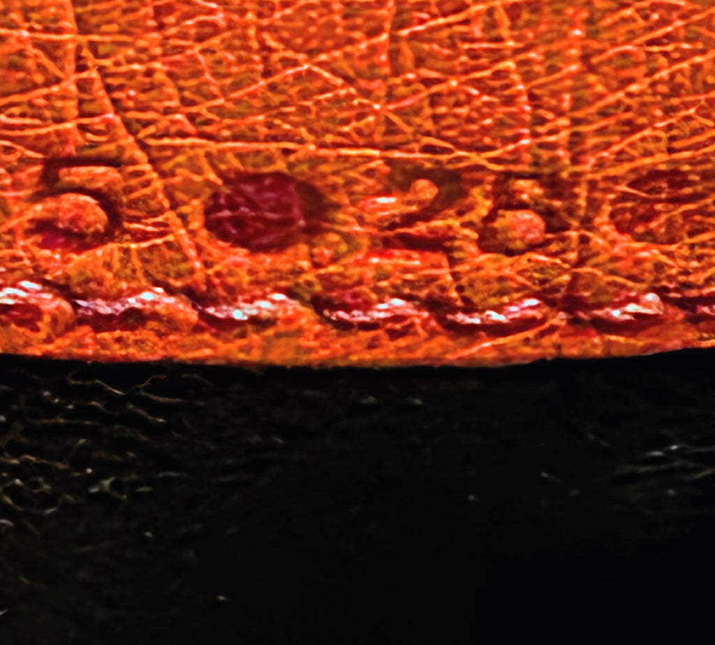 Hermes Vintage Orange Terracotta Ostrich Leather Tote Bag
