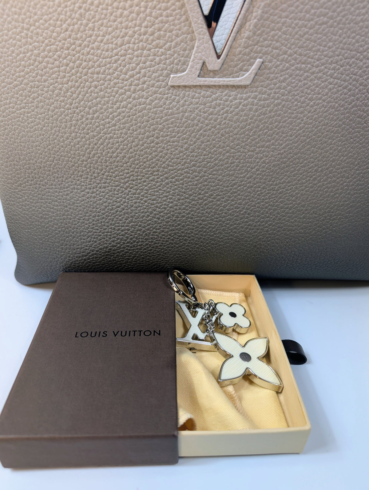 Louis Vuitton Light Grey Degrade Taurillon Leather Capucines PM Bag