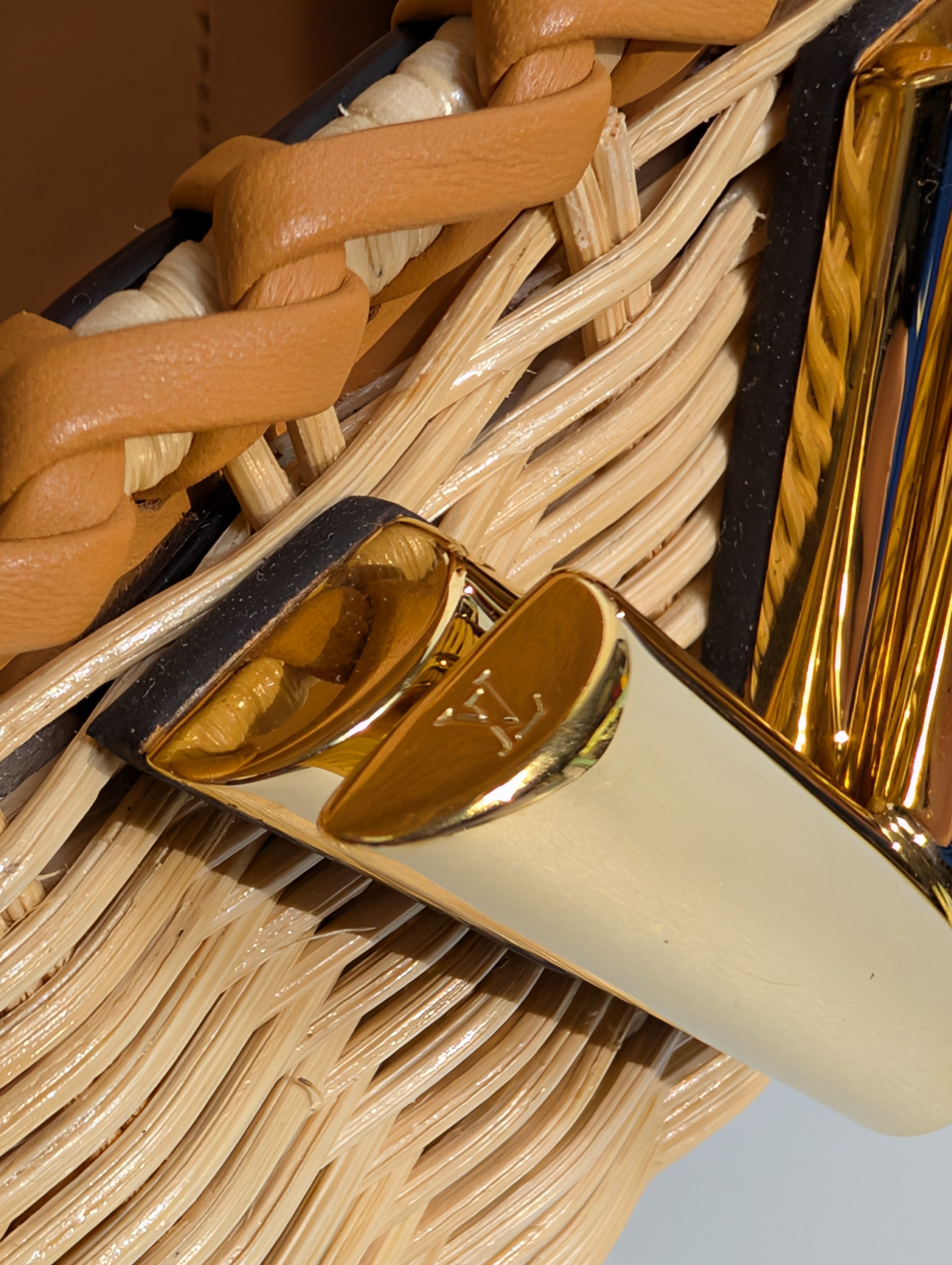 Louis Vuitton Damier Wicker Rattan Monogram Canvas Twist PM Shoulder Bag