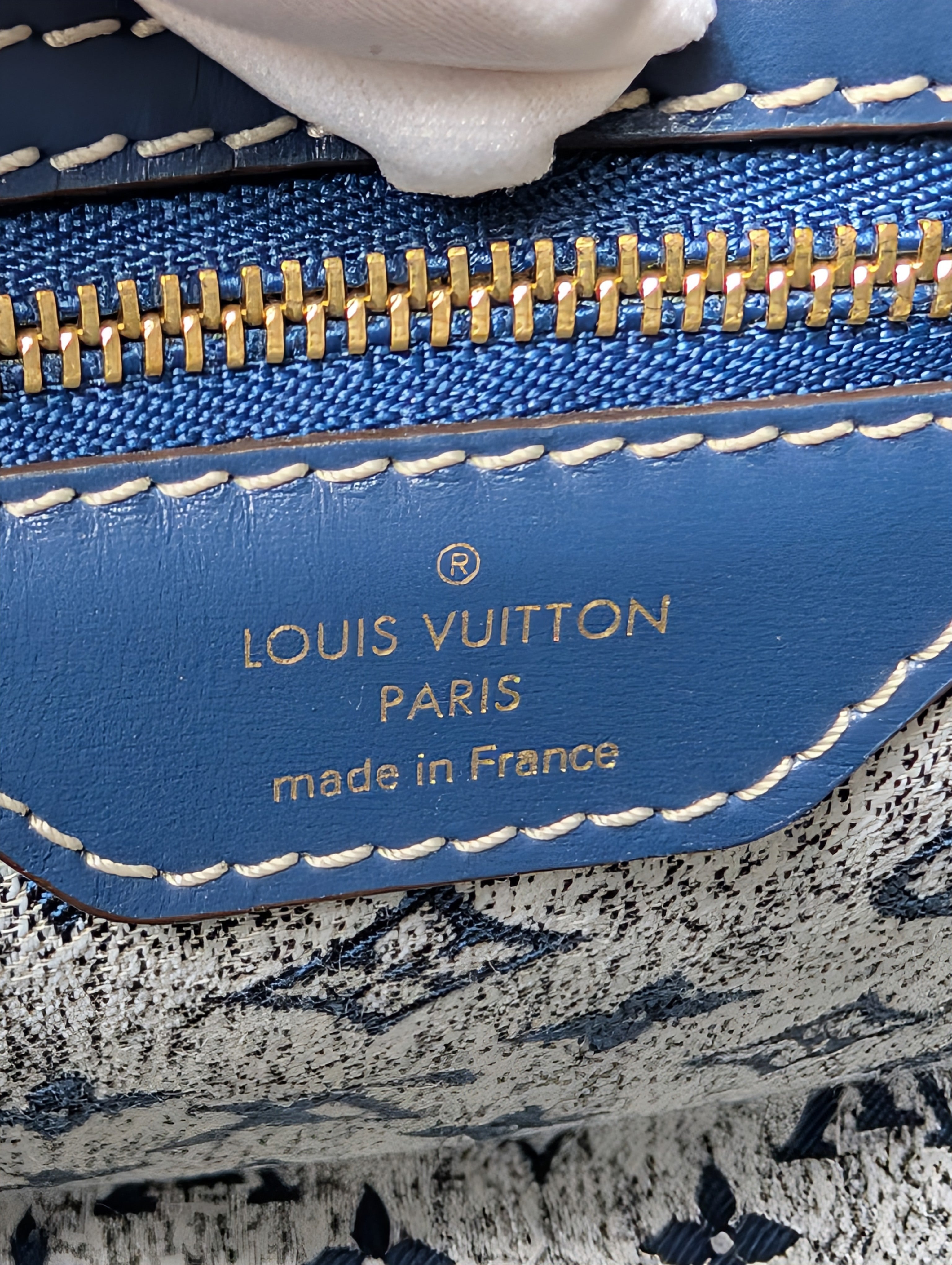 Louis Vuitton Denim Jacquard Monogram Speedy Bandoulière 25
