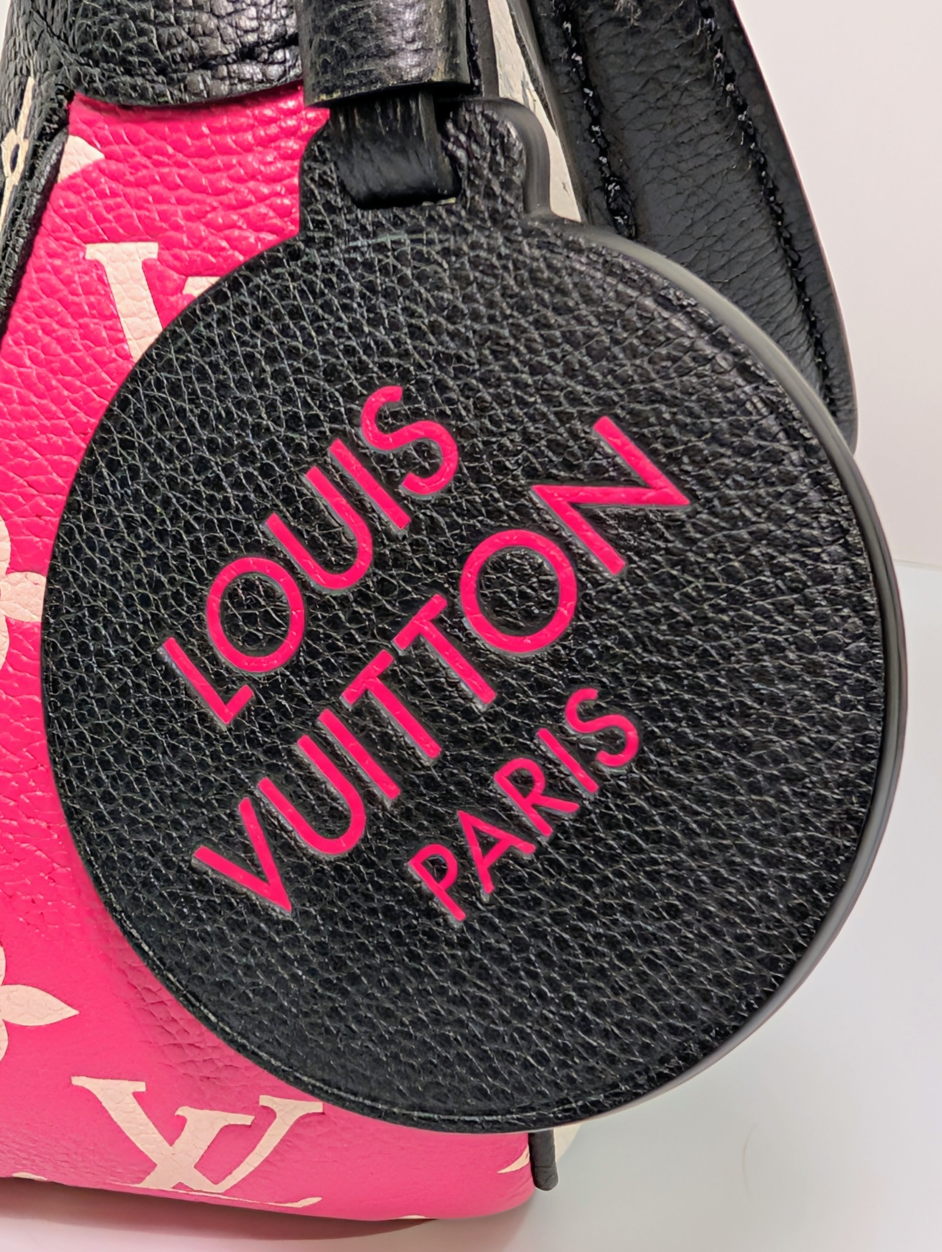 Louis Vuitton Black/White/Pink Bicolor Monogram Empreinte Leather Loop Bag