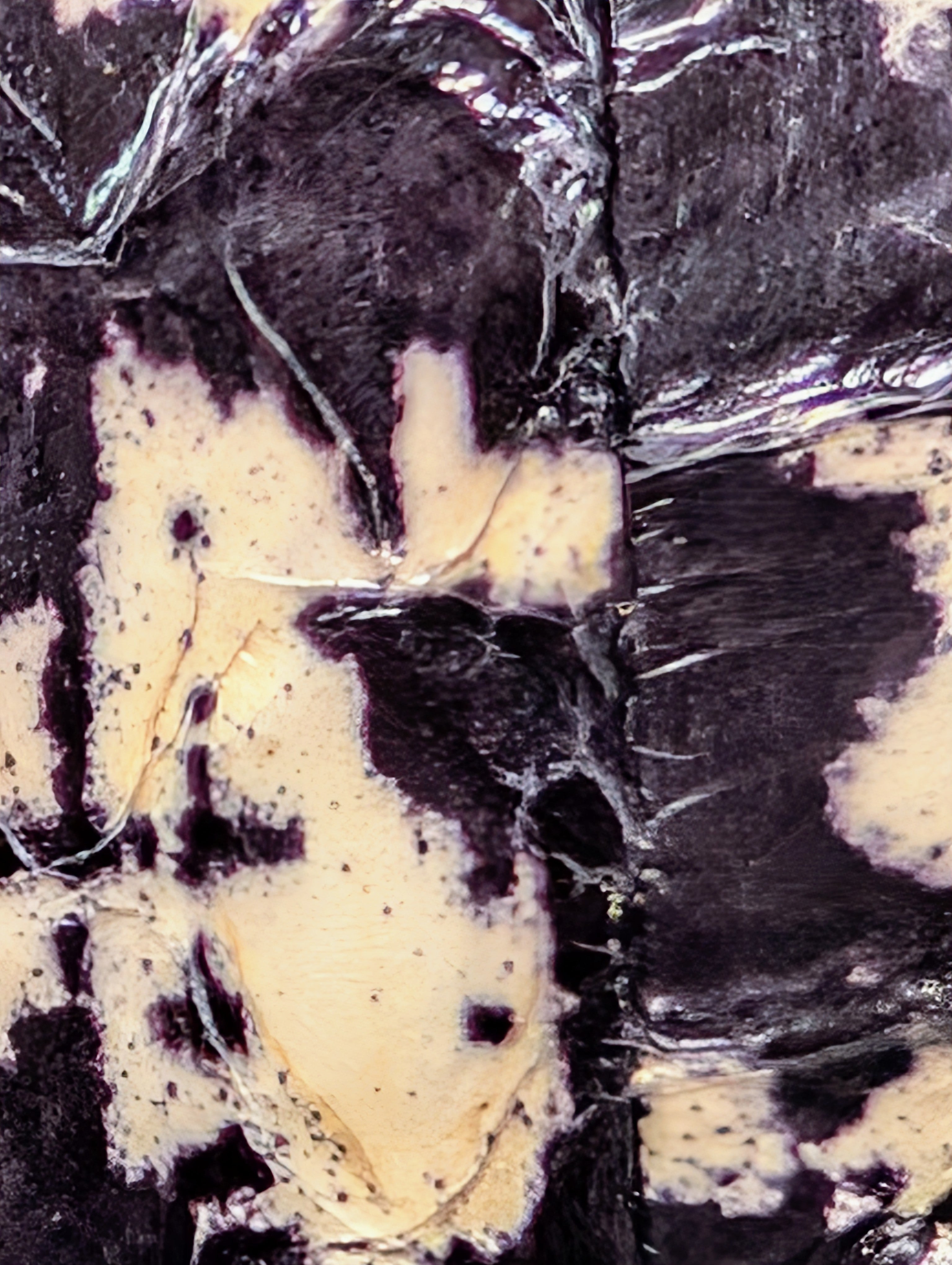 Chanel Black and Cream Python Snakeskin Leather Houndstooth Flap Bag