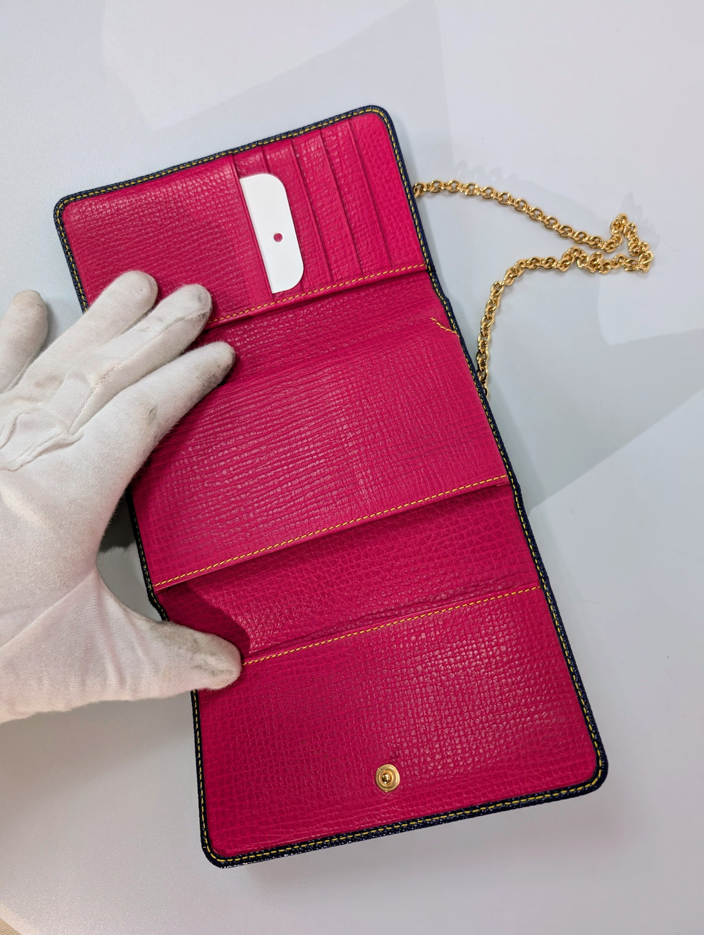 Dolce & Gabbana Blue and Pink Dauphine Leather Wallet on Chain