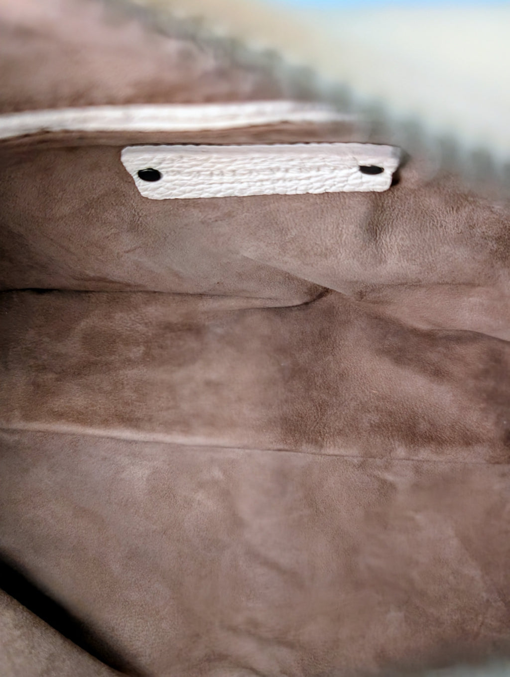 Bottega Veneta Chalk White Grained Deerskin Cervo Baseball Hobo Shoulder Bag